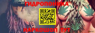 прущие крисы Кулебаки