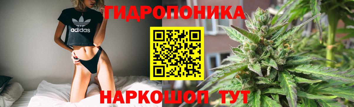Конопля индика  Канабис семена  Марихуана THC 21%  Вход с VPN  Каннабис марихуана  Губкинский 